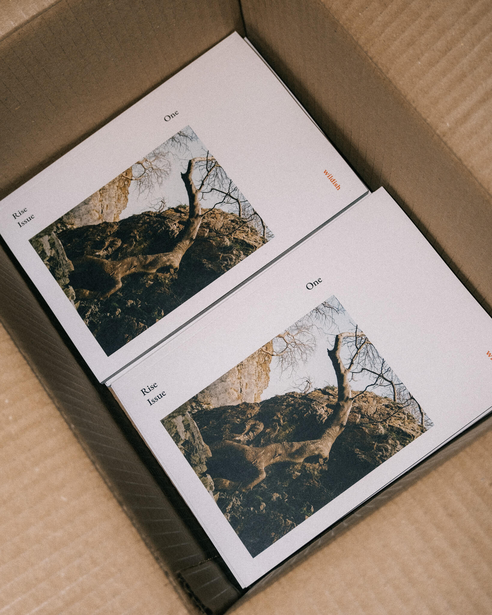 Rise Issue One. image 2
