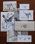 A collection of bird-themed art prints and cards featuring detailed sketches and watercolor illustrations of curlews, arranged on a dark wooden background. A beige envelope with a bird illustration sits among the cards.