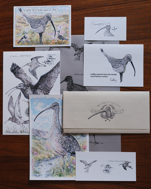 A collection of bird-themed art prints and cards featuring detailed sketches and watercolor illustrations of curlews, arranged on a dark wooden background. A beige envelope with a bird illustration sits among the cards.