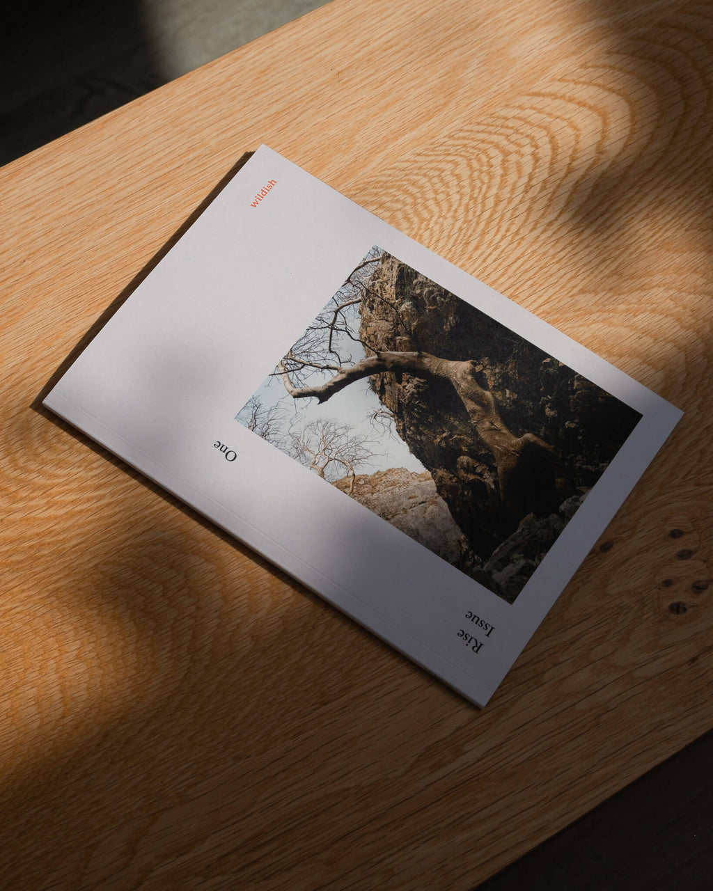 Rise Issue One. image 0
