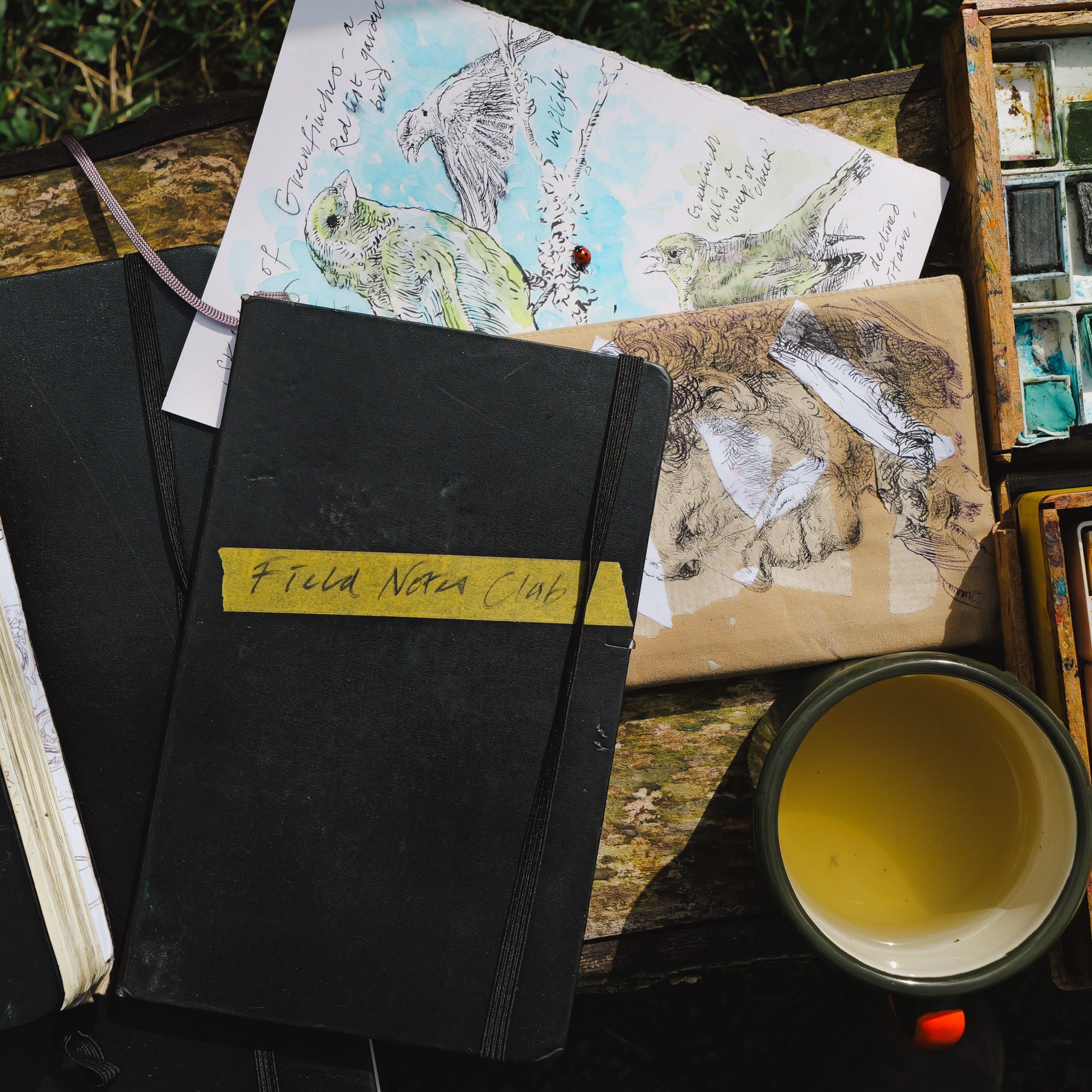 Wildish Field Notes Club image 0