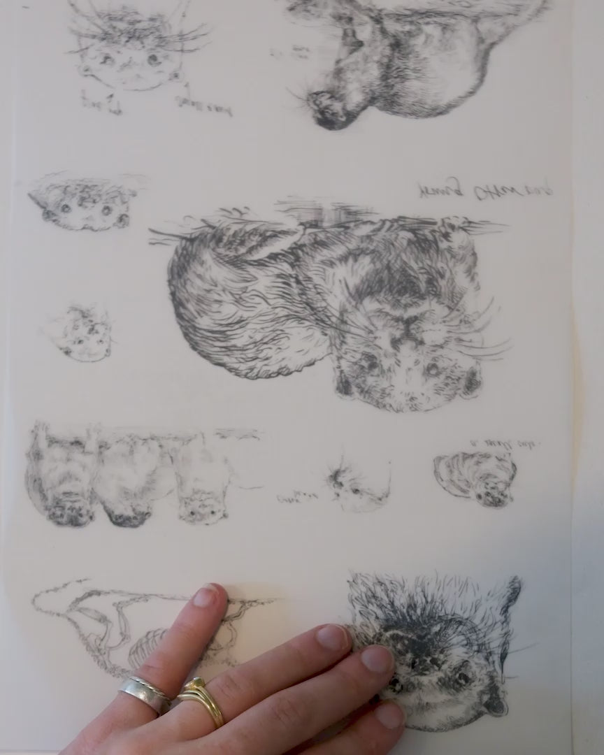 Field Notes Club Past Issue - Otter - July 26